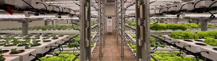 Smart Agriculture & IoT